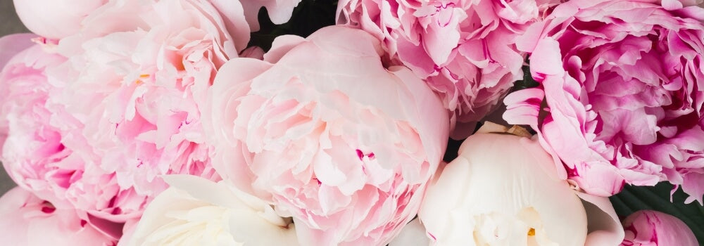 Mother's Day Gift Guide